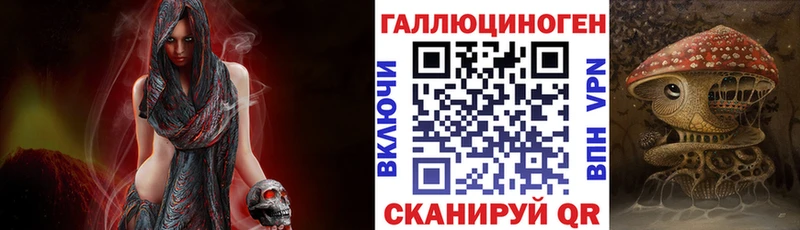 Купить где Серов Галлюциногенные грибы Psilocybine cubensis